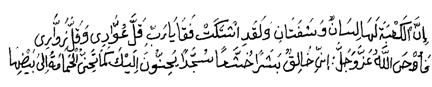 rehber 16