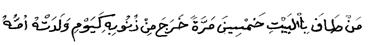 rehber 18