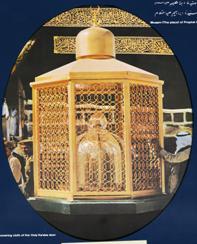 rehber 21