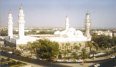 rehber 40