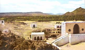 rehber 41